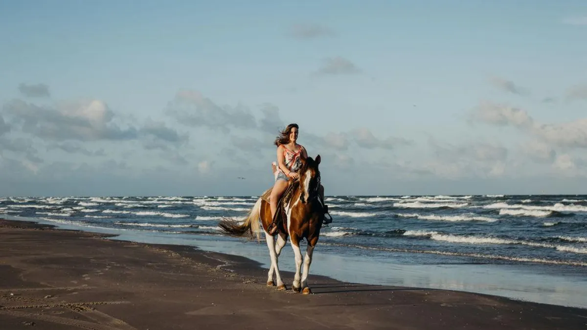 a person riding a horse on a beach