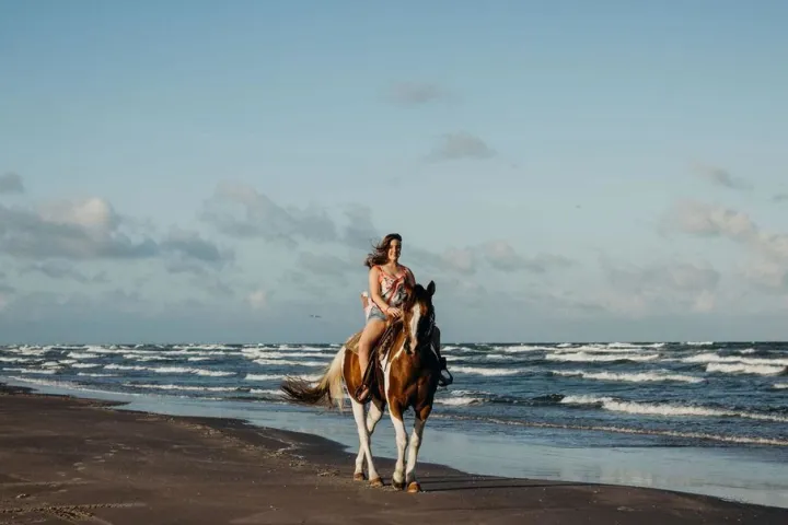 a person riding a horse on a beach