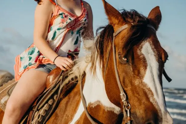 a woman riding on the back of a brown horse