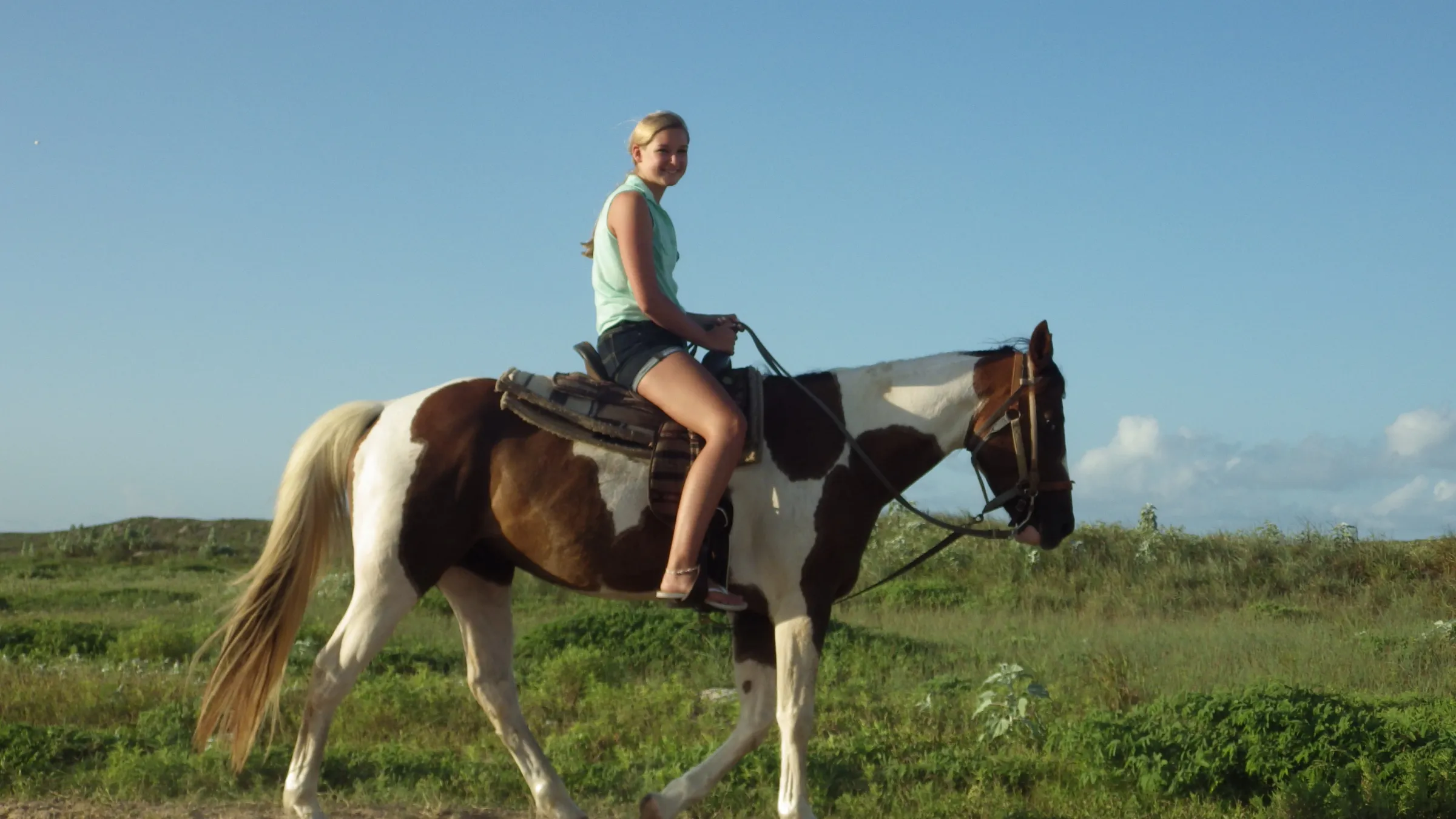 a person riding a horse in a field